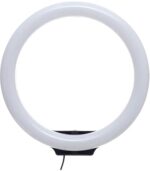 Ring Light 26cm with 3 Colors & Stand – White LED Lighting